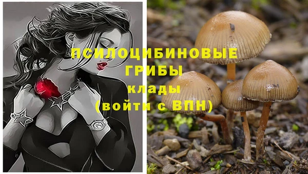 бошки Баксан