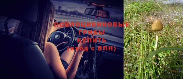 таблы Белокуриха