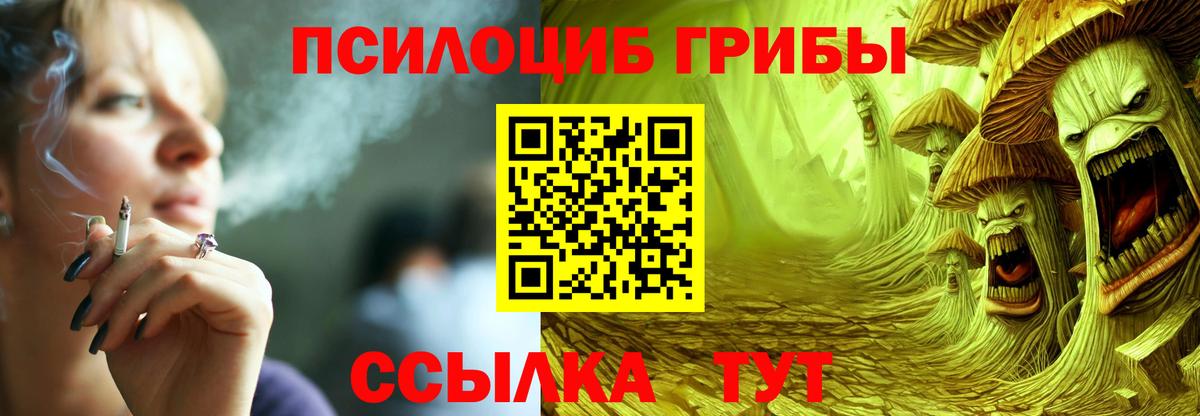 Галлюциногенные грибы GOLDEN TEACHER Бузулук